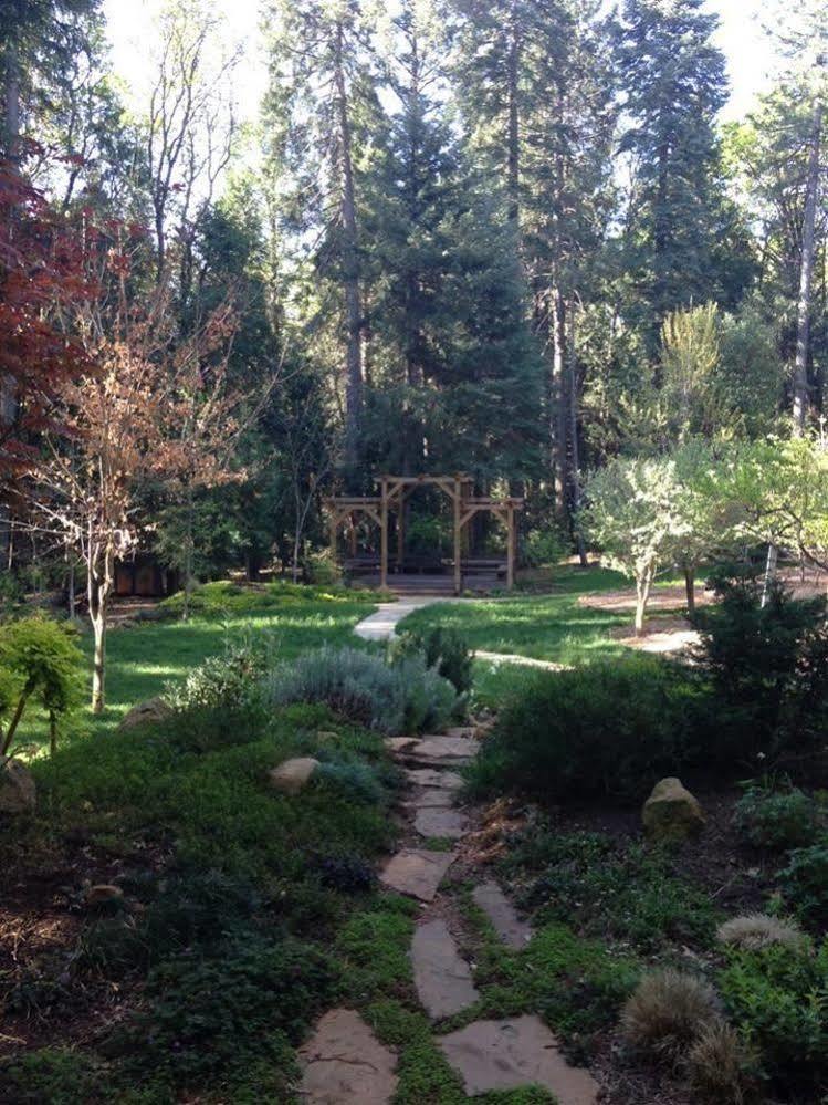 Harmony Ridge Lodge Nevada City Exteriör bild